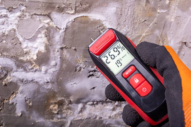 Best Residential Mold Removal  in Clara City, MN