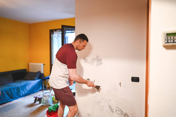 Best Mold Cleaning Services  in Clara City, MN